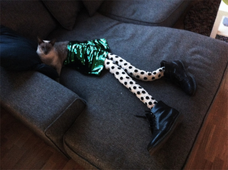 Illustration for article titled Internet Implodes at the Sight of Cats Wearing Tights
